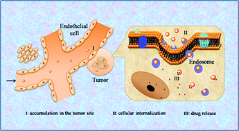 Graphical abstract: A biodegradable and fluorescent nanovehicle with enhanced selective uptake by tumor cells