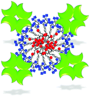 Graphical abstract: Micelles from self-assembled double-hydrophilic PHEMA-glycopolymer-diblock copolymers as multivalent scaffolds for lectin binding