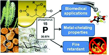 Graphical abstract: Phosphorylation of bio-based compounds: the state of the art