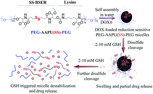 Graphical abstract: Biocompatible and bioreducible micelles fabricated from novel α-amino acid-based poly(disulfide urethane)s: design, synthesis and triggered doxorubicin release