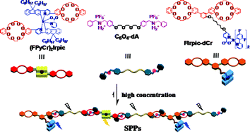 Graphical abstract: White light-emitting diodes based on an all-phosphorescent supramolecular polymer