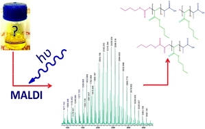 Graphical abstract: Determining the effect of side reactions on product distributions in RAFT polymerization by MALDI-TOF MS