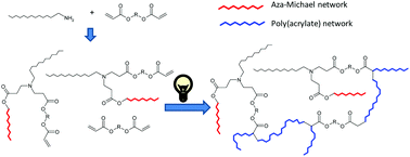 Graphical abstract: Environmentally-friendly processing of thermosets by two-stage sequential aza-Michael addition and free-radical polymerization of amine–acrylate mixtures