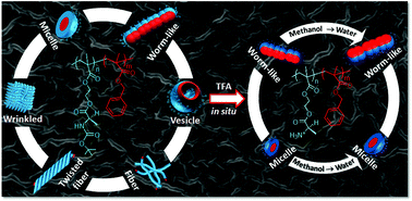 Graphical abstract: Polymerization-induced self-assembly driving chiral nanostructured materials