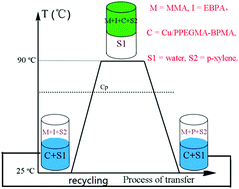 Graphical abstract: Thermoregulated phase transfer catalysis in aqueous/organic biphasic system: facile and highly efficient ATRP catalyst separation and recycling in situ using typical alkyl halide as initiator