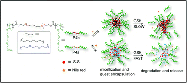 Graphical abstract: Amphiphilic poly(disulfide) micelles and a remarkable impact of the core hydrophobicity on redox responsive disassembly