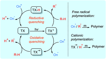 Graphical abstract: Shining a light on an adaptable photoinitiator: advances in photopolymerizations initiated by thioxanthones