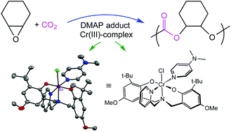 Graphical abstract: Cyclohexene oxide/carbon dioxide copolymerization by chromium(iii) amino-bis(phenolato) complexes and MALDI-TOF MS analysis of the polycarbonates