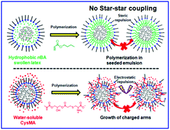 Graphical abstract: One-pot synthesis of hyperstar polymers via sequential ATRP of inimers and functional monomers in aqueous dispersed media