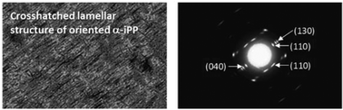 Graphical abstract: Melt recrystallization behavior of carbon-coated melt-drawn oriented isotactic polypropylene thin films