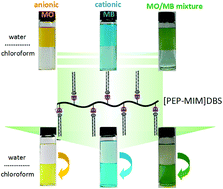 Graphical abstract: Linear polymeric ionic liquids as phase-transporters for both cationic and anionic dyes with synergic effects