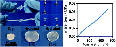 Graphical abstract: Thermoresponsive, stretchable, biodegradable and biocompatible poly(glycerol sebacate)-based polyurethane hydrogels