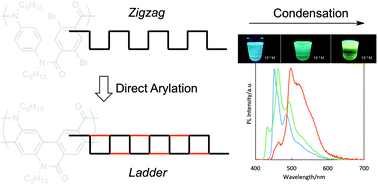 Graphical abstract: Amide-bridged ladder poly(p-phenylene): synthesis by direct arylation and π-stacked assembly