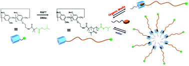 Graphical abstract: Synthesis, binding and self-assembly properties of a well-defined pillar[5]arene end functionalised polydimethylacrylamide