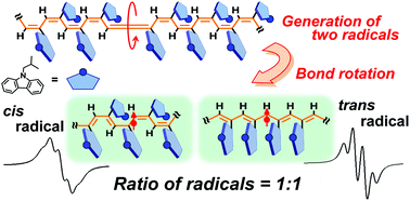 Graphical abstract: Configuration and conformation of poly(3-carbazolylacetylene) including cis and trans radicals revealed by ESR spectroscopy