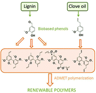 Graphical abstract: ADMET polymerization of bio-based biphenyl compounds