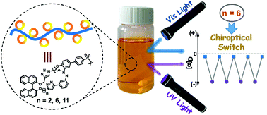 Graphical abstract: A cyclic azobenzenophane-based smart polymer for chiroptical switches