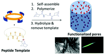 Graphical abstract: Robust carboxylated polymer pores from a cyclic peptide template