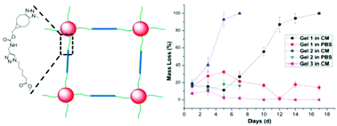 Graphical abstract: Hydrolytically degradable, dendritic polyglycerol sulfate based injectable hydrogels using strain promoted azide–alkyne cycloaddition reaction