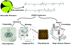 Graphical abstract: Direct copolycondensation of biobased elastomers based on lactic acid with tunable and versatile properties