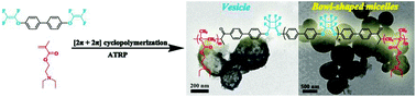 Graphical abstract: Constructing semi-fluorinated PDEAEMA-b-PBTFVBP-b-PDEAEMA amphiphilic triblock copolymer via successive thermal step-growth cycloaddition polymerization and ATRP