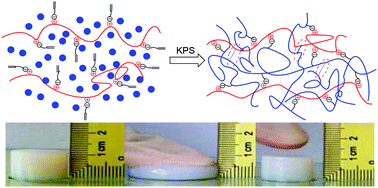 Graphical abstract: Physical hydrogels constructed on a macro-cross-linking cationic polysaccharide with tunable, excellent mechanical performance