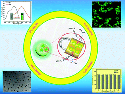 Graphical abstract: Stimulus responsive cross-linked AIE-active polymeric nanoprobes: fabrication and biological imaging application