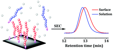 Graphical abstract: The influence of surface grafting on the growth rate of polymer chains