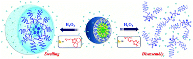 Graphical abstract: Tuning of hydrogen peroxide-responsive polymeric micelles of biodegradable triblock polycarbonates as a potential drug delivery platform with ratiometric fluorescence signaling