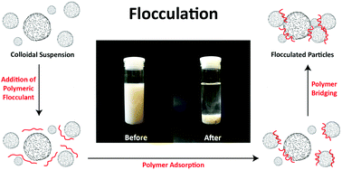 Graphical abstract: Synthesis, properties and performance of organic polymers employed in flocculation applications