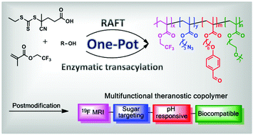 Graphical abstract: Facile synthesis of a multifunctional copolymer via a concurrent RAFT-enzymatic system for theranostic applications