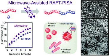 Graphical abstract: Microwave-assisted synthesis of block copolymer nanoparticles via RAFT with polymerization-induced self-assembly in methanol