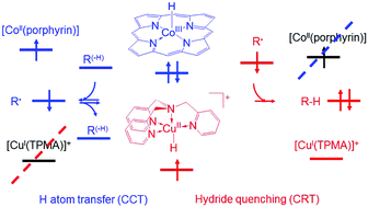 Graphical abstract: Cobalt(iii) and copper(ii) hydrides at the crossroad of catalysed chain transfer and catalysed radical termination: a DFT study