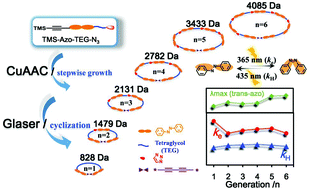 Graphical abstract: Molecularly-defined macrocycles containing azobenzene main-chain oligomers: modular stepwise synthesis, chain-length and topology-dependent properties