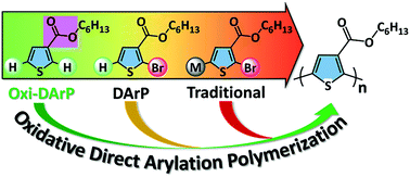 Graphical abstract: Palladium-catalyzed oxidative direct arylation polymerization (Oxi-DArP) of an ester-functionalized thiophene