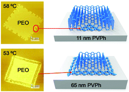 Graphical abstract: In situ observation of the melting behaviour of PEO single crystals on a PVPh substrate by AFM