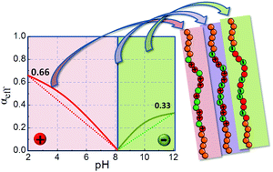 Graphical abstract: Design of a C-b-(A-co-B)-b-C telechelic polyampholyte pH-responsive gelator