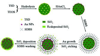 Graphical abstract: Facile ‘embedding’ of Au nanocrystals into silica spheres with controllable quantity for improved catalytic reduction of p-nitrophenol