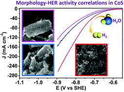Graphical abstract: Morphology–activity correlation in hydrogen evolution catalyzed by cobalt sulfides