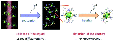 Graphical abstract: A terahertz absorption spectroscopy study of structural changes in d-penicillaminato CuI8CuII6 clusters induced by water desorption