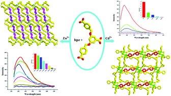 Graphical abstract: 3,5-Bis((4′-carboxylbenzyl)oxy)benzoilate-based coordination polymers: their synthesis, structural characterization, and sensing properties