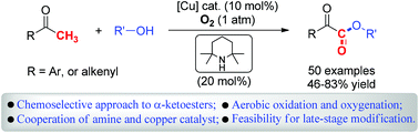 Graphical abstract: TEMP and copper cocatalyzed oxygenation of ketones with molecular oxygen: chemoselective synthesis of α-ketoesters