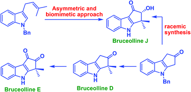 Graphical abstract: Concise asymmetric total synthesis of bruceolline J