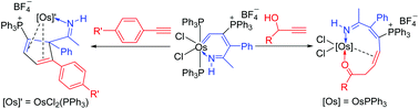 Graphical abstract: Reactions of osmapyridinium with terminal alkynes