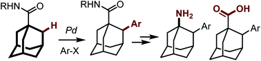 Graphical abstract: Palladium-catalyzed methylene C(sp3)–H arylation of the adamantyl scaffold