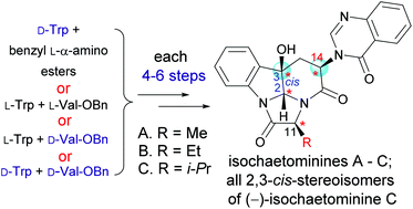 Graphical abstract: Stereodivergent and enantioselective total syntheses of isochaetominines A–C and four pairs of isochaetominine C enantiomers: a six-step approach