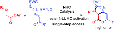Graphical abstract: Rapid access to bicyclic δ-lactones via carbene-catalyzed activation and cascade reaction of unsaturated carboxylic esters