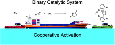 Graphical abstract: A novel zinc based binary catalytic system for CO2 utilization under mild conditions