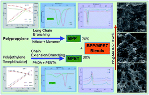 Graphical abstract: The effects of long chain branching of polypropylene and chain extension of poly(ethylene terephthalate) on the thermal behavior, rheology and morphology of their blends