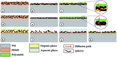 Graphical abstract: Thin film nanocomposite embedded with polymethyl methacrylate modified multi-walled carbon nanotubes for CO2 removal